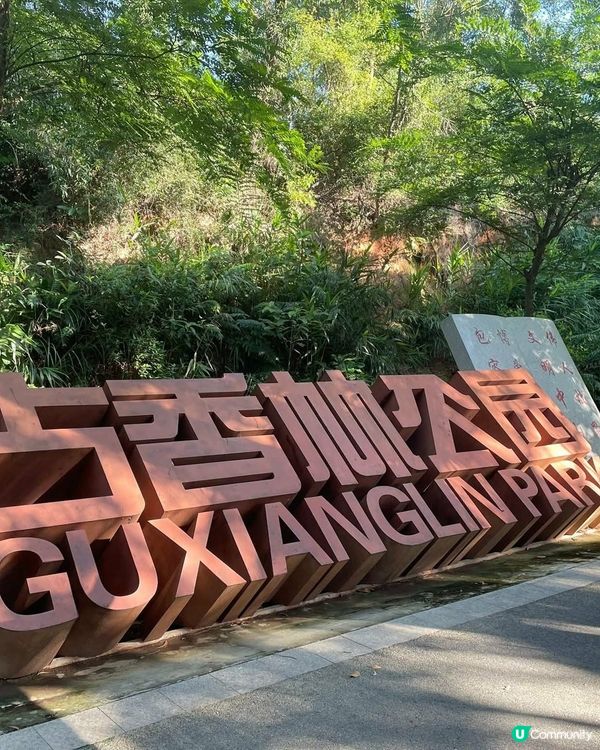 中山古香林公園一日遊🏞️ 享受慢活時光！🌳