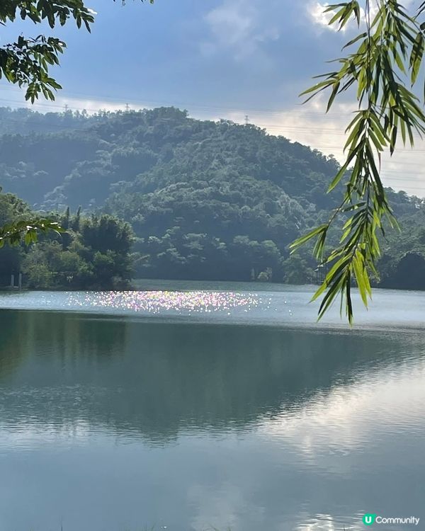 古香林🌳🍃慢遊！世外桃源等你發現 😌✨