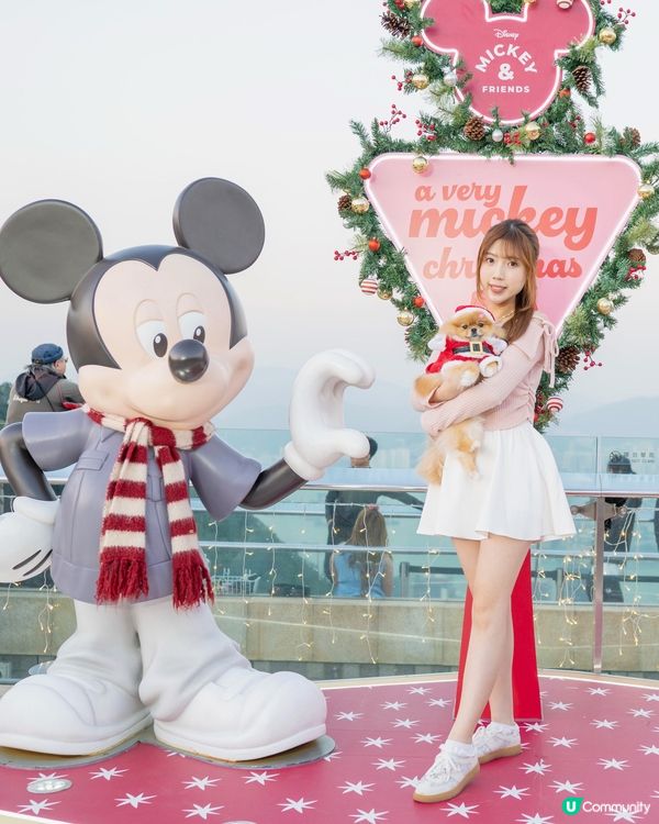 山頂迪士尼Disney😍打卡