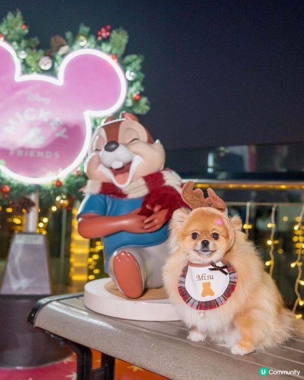 山頂迪士尼Disney😍打卡