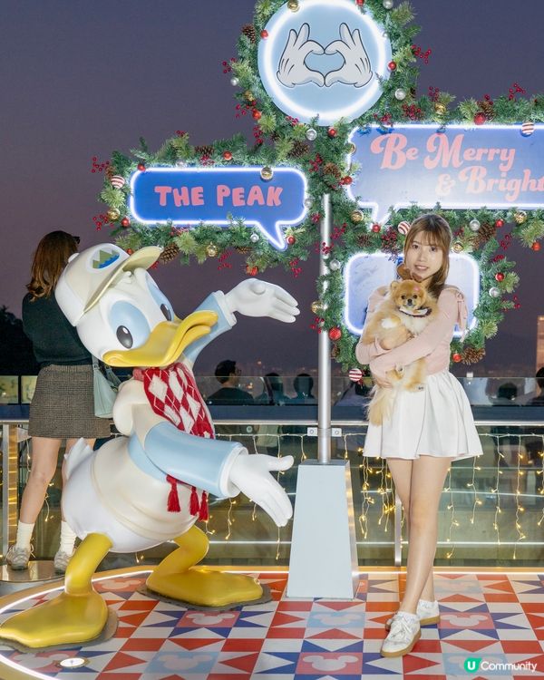 山頂迪士尼Disney😍打卡