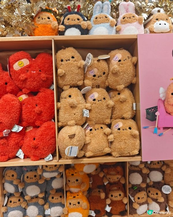 新城市有咩好嘢？玩偶寶藏！🥰🎁