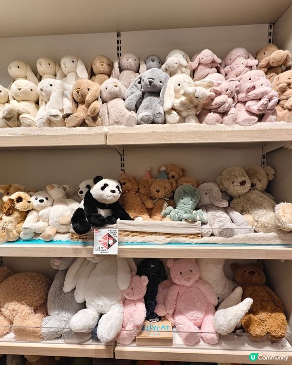 新城市有咩好嘢？玩偶寶藏！🥰🎁