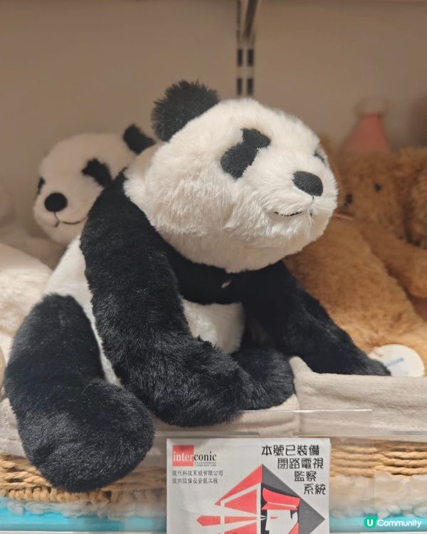 新城市有咩好嘢？玩偶寶藏！🥰🎁