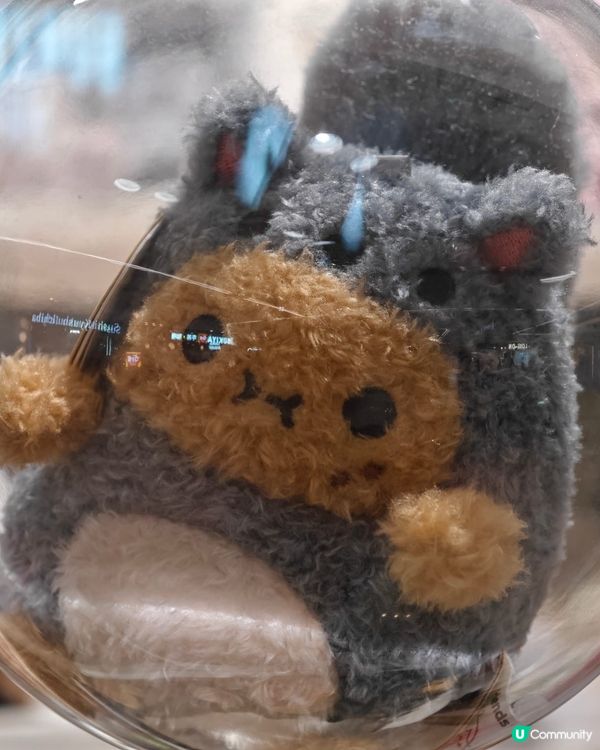 新城市有咩好嘢？玩偶寶藏！🥰🎁