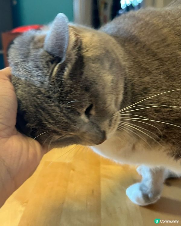 重新定義「浪費」！🌿 叉電時間係必需㗎！💪