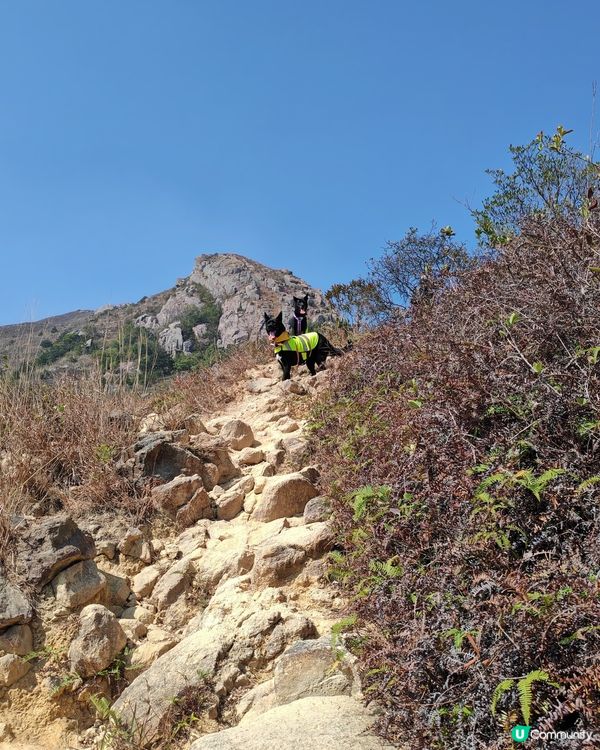 愉景灣👟👟梅窩🏃‍♂️💨🚶‍♀️ | 13.5km🏃‍♂️⛰