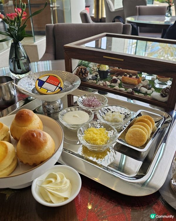 夏日閃耀🐠🍰✨💖