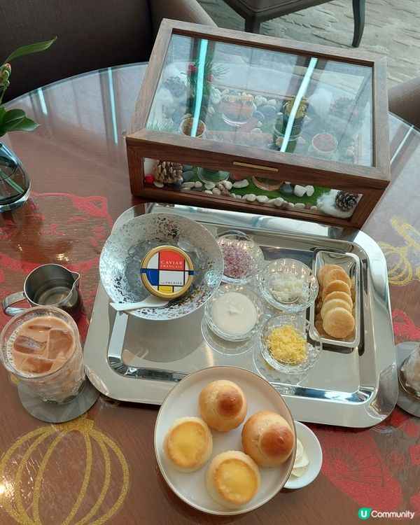 夏日閃耀🐠🍰✨💖