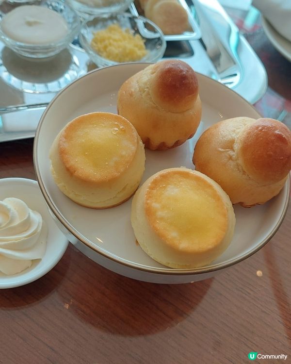 夏日閃耀🐠🍰✨💖