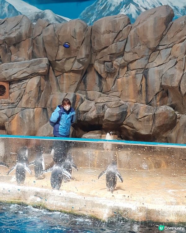 海洋公園玩到癲！🐼🌊🤣