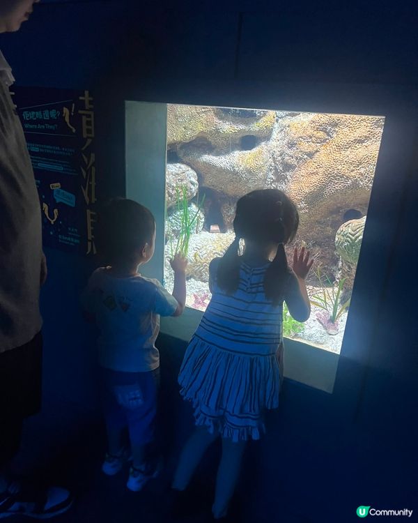 夏日玩轉海洋公園 ☀️👪