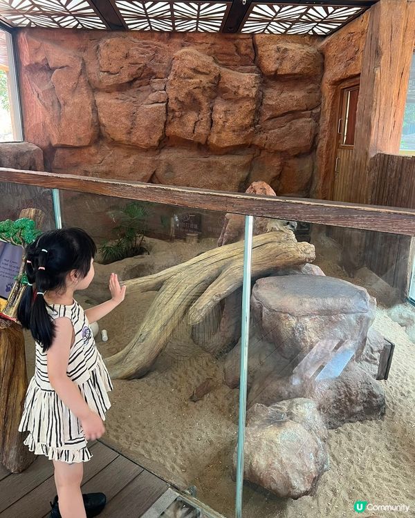 夏日玩轉海洋公園 ☀️👪