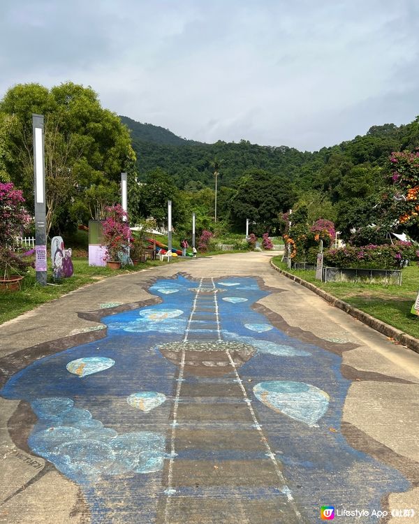 蝶豆花園