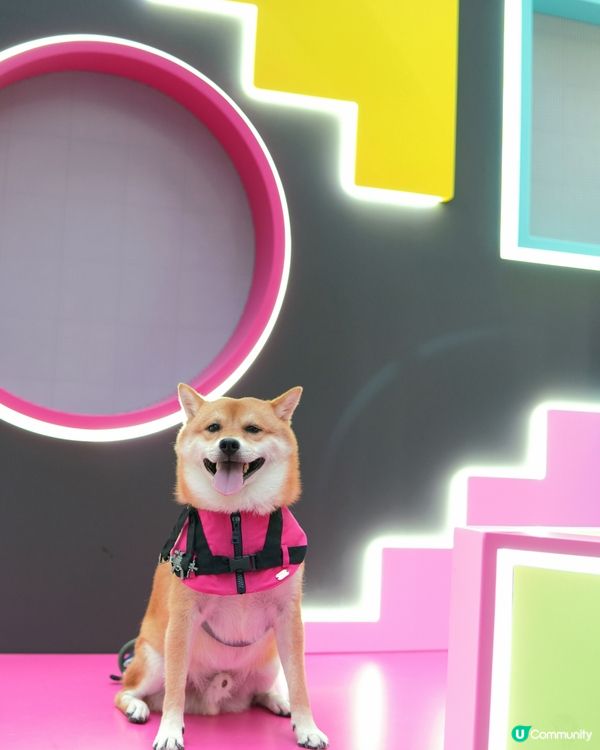 Kalos X Squid Game pop-up