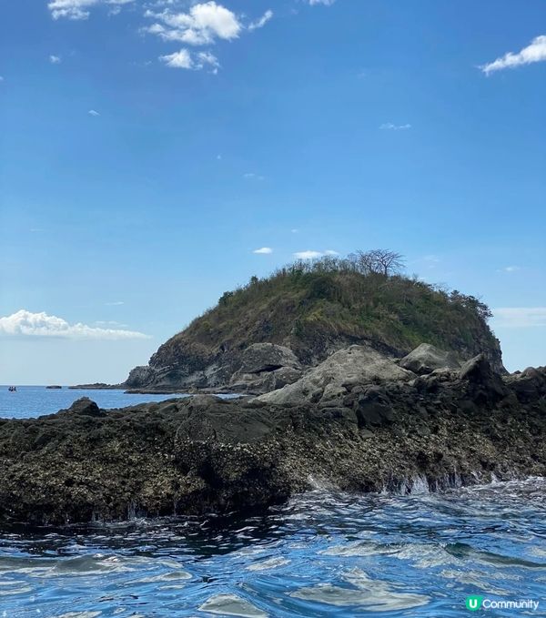 從馬尼拉到木瓜島坐車大概2個小時 可以浮潛 真的超級多的魚