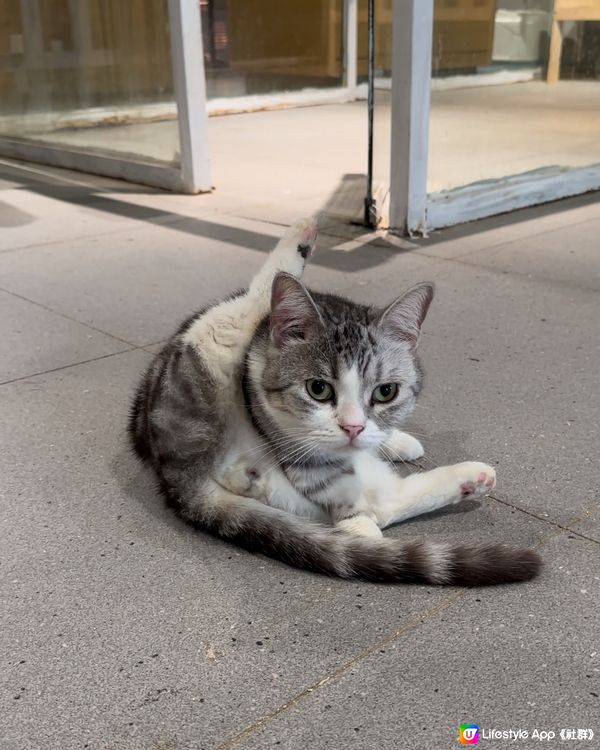 深圳必去餵動物🤣