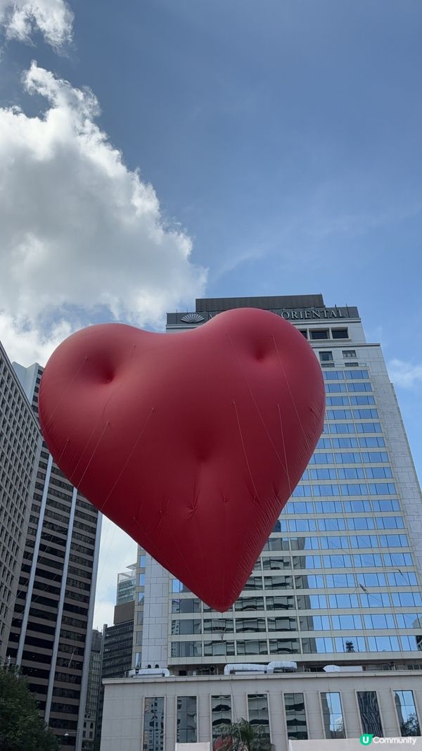 Chubby hearts❤️ 