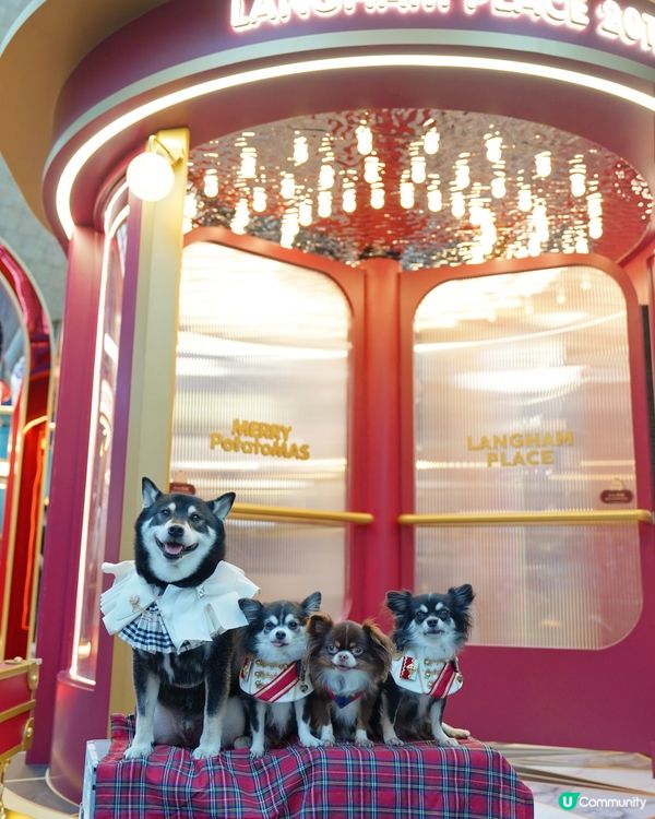 朗豪坊嘅薯仔🥔真係好可愛🎄✨