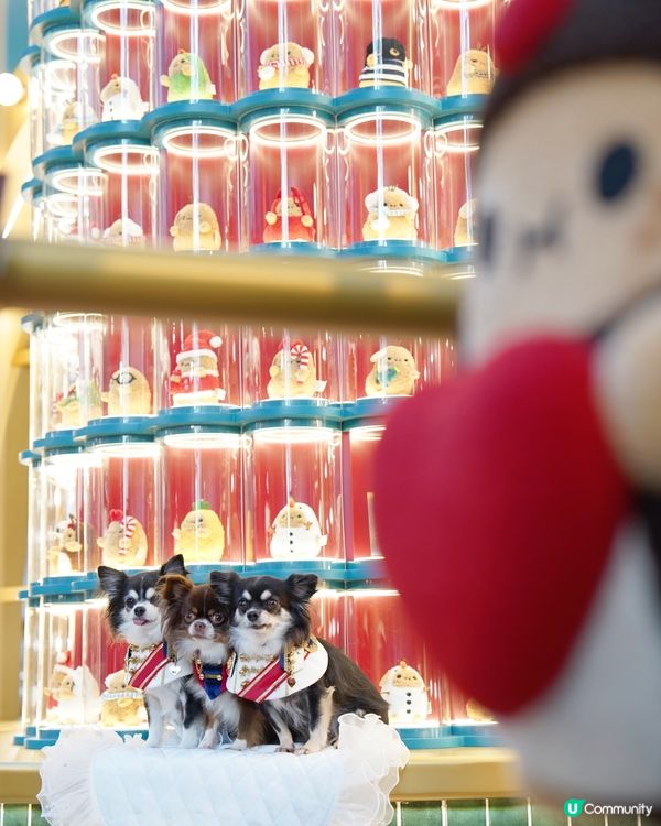 朗豪坊嘅薯仔🥔真係好可愛🎄✨