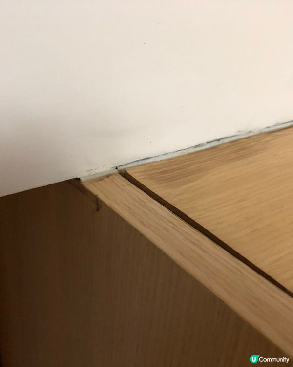 伏到飛起！櫃濕晒💧💸