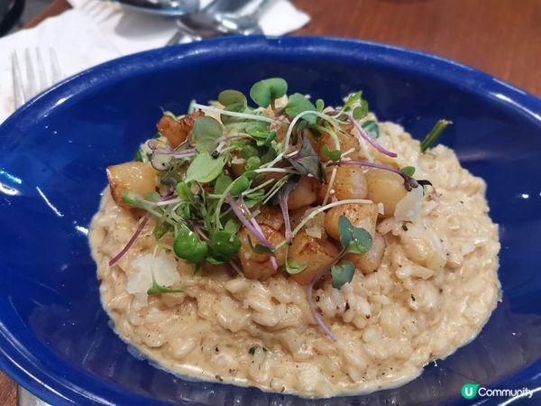 太子寵物街後，貝殼窩夫再encore! 🧇😋