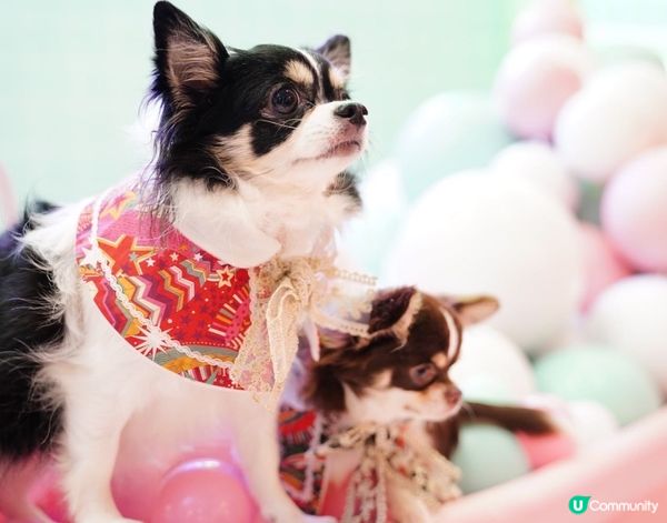 Let's take a nice long hot bub...