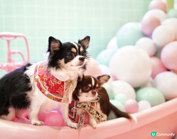 Let's take a nice long hot bub...