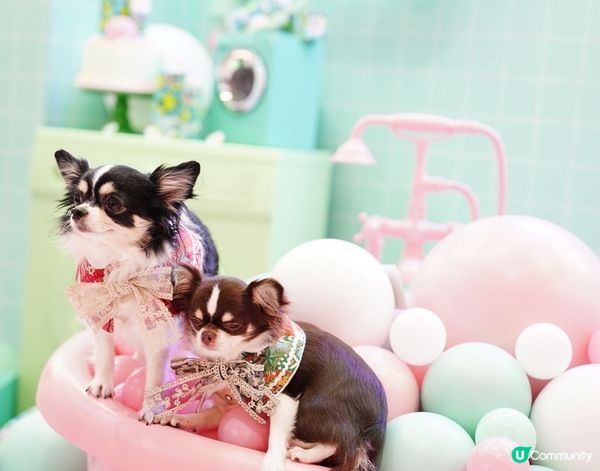 Let's take a nice long hot bub...