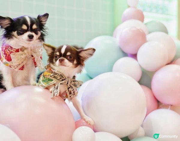 Let's take a nice long hot bub...