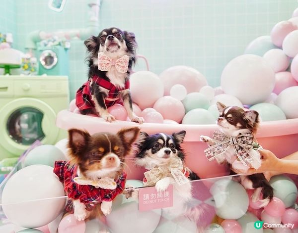 Let's take a nice long hot bub...