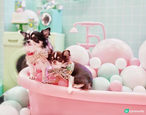 Let's take a nice long hot bub...