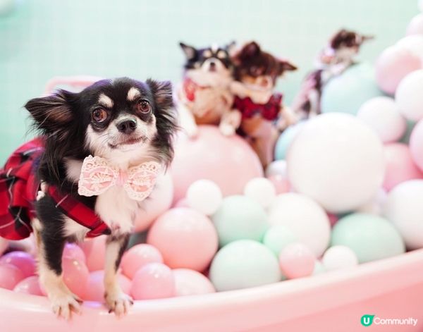 Let's take a nice long hot bub...