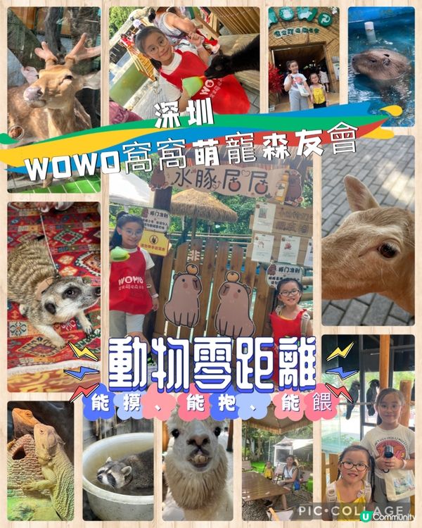 深圳 WOWO窩窩萌寵森友會|動物零距離