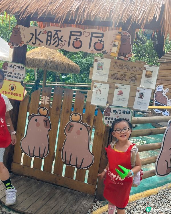 深圳 WOWO窩窩萌寵森友會|動物零距離