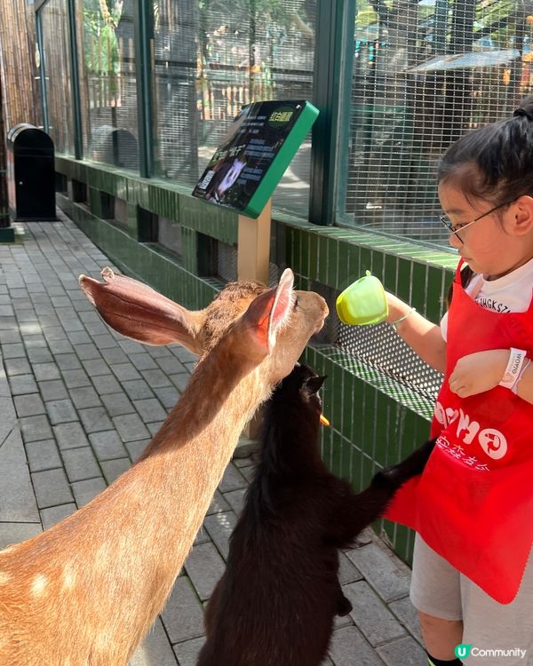 深圳 WOWO窩窩萌寵森友會|動物零距離
