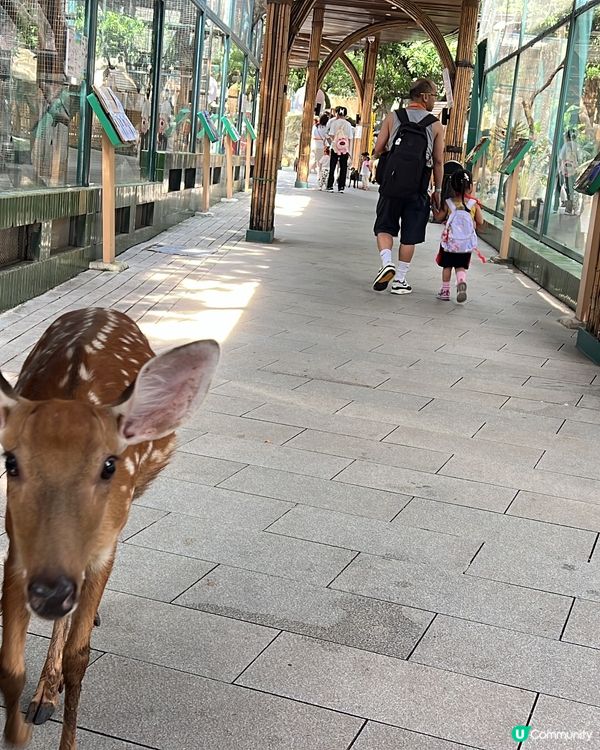 深圳 WOWO窩窩萌寵森友會|動物零距離