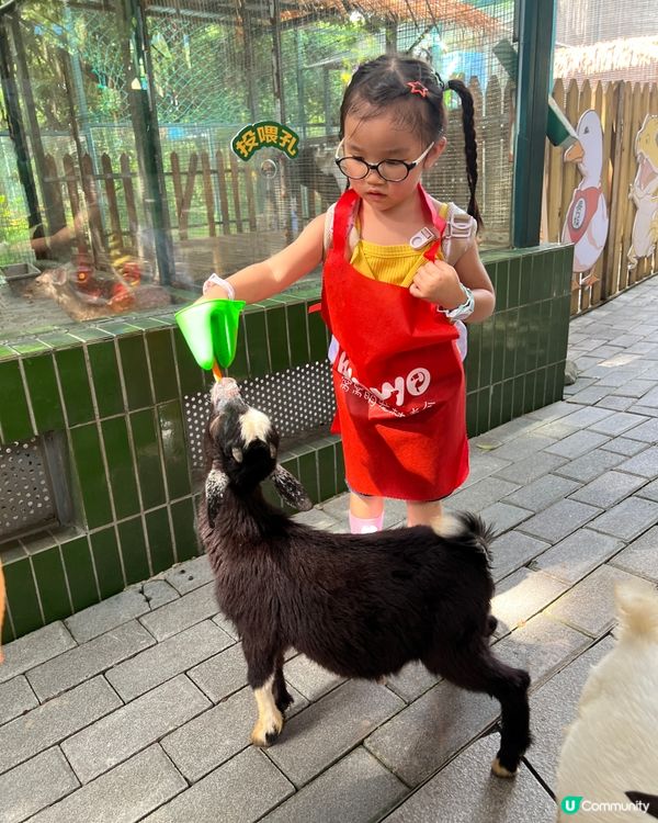 深圳 WOWO窩窩萌寵森友會|動物零距離