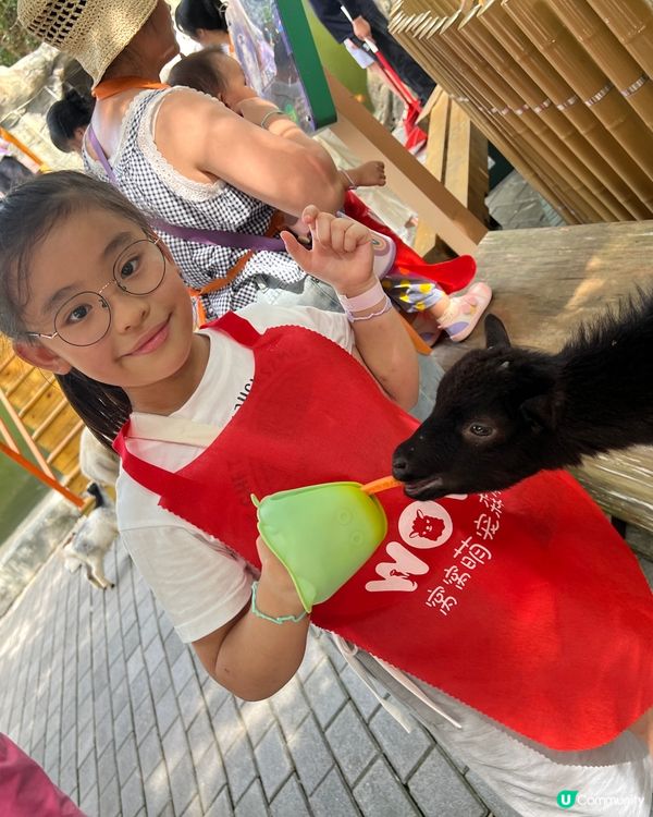 深圳 WOWO窩窩萌寵森友會|動物零距離