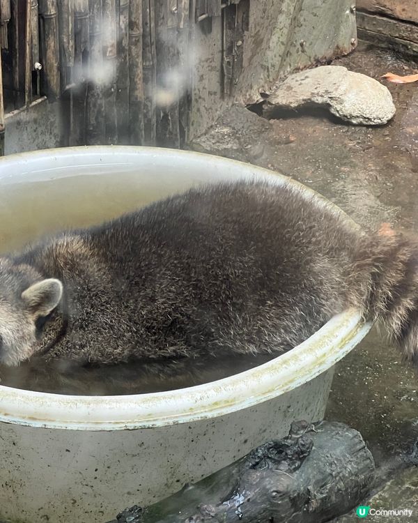 深圳 WOWO窩窩萌寵森友會|動物零距離