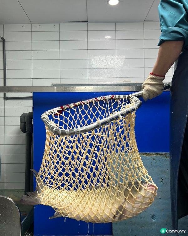 【中山美食．現撈現做新鮮脆肉鯇】