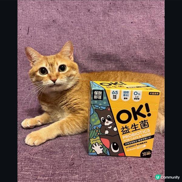 怪獸部落益生菌