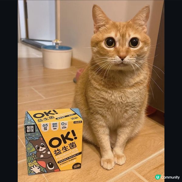 怪獸部落益生菌