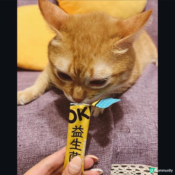 怪獸部落益生菌