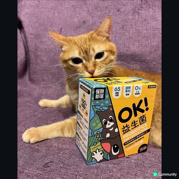 怪獸部落益生菌