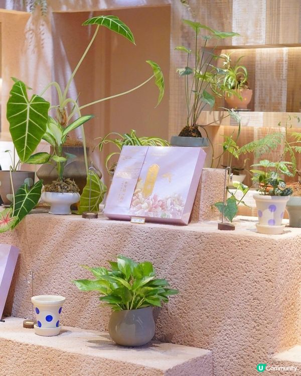 機場渡假風花廚！📸 輕食打卡😋