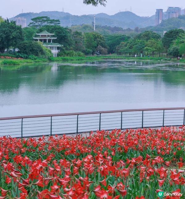 深圳市中心公園