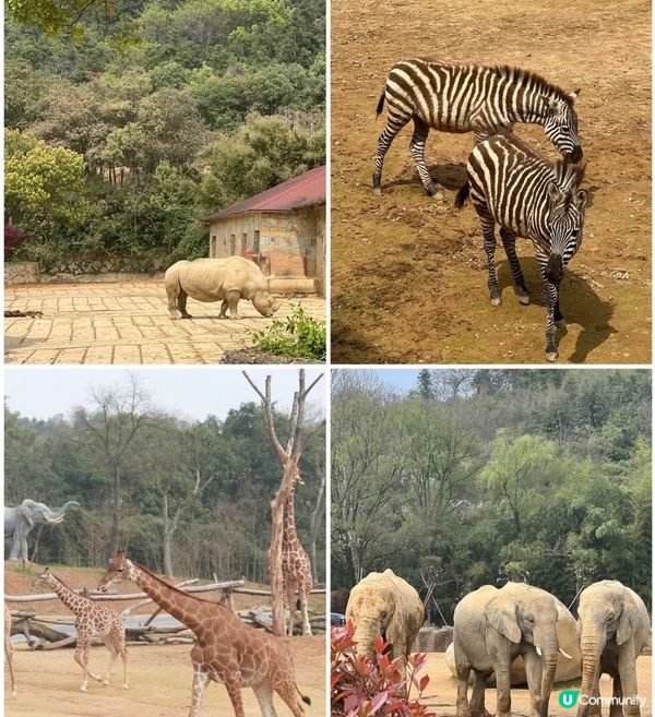杭州野生動物世界