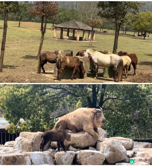 杭州野生動物世界
