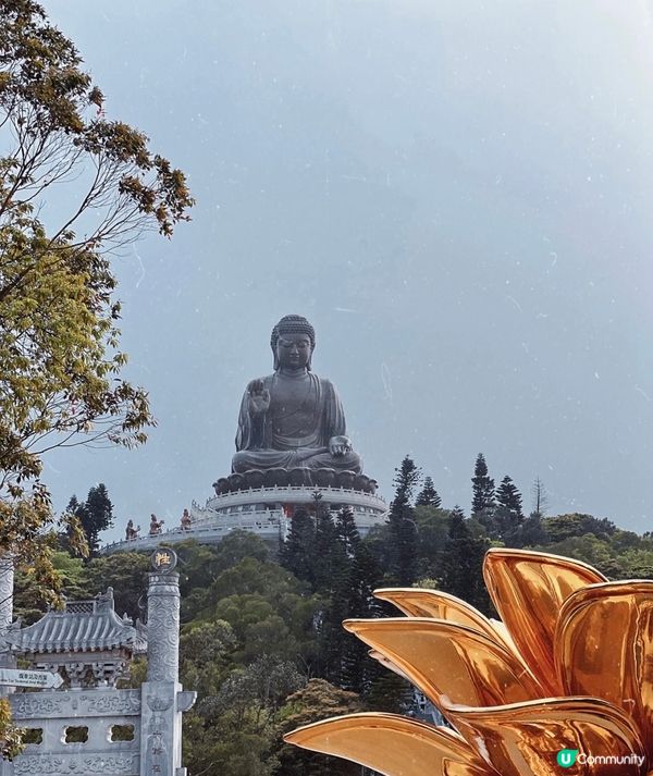 不同角度看大佛，天壇大佛的對面就是寶蓮禪寺，佛像座落千海拔 ...